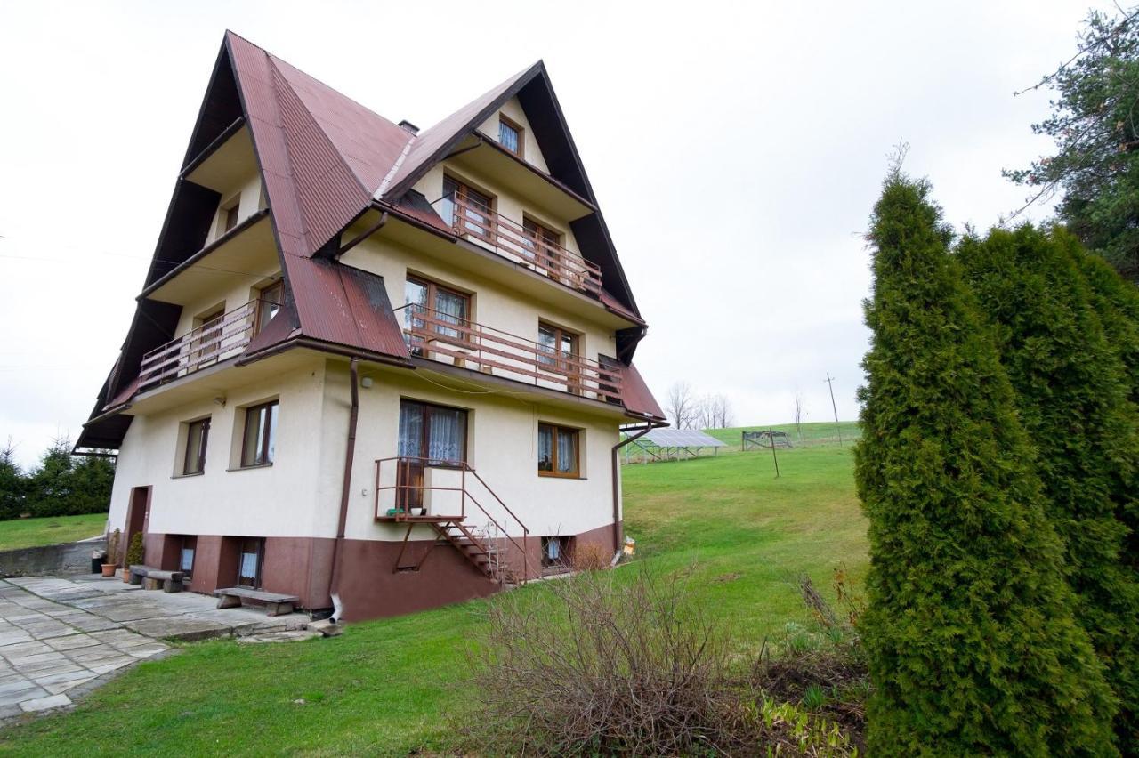 Apartamenty U Gabi Poronin Exterior foto